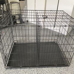 Large Dog Crate - Petco Brand