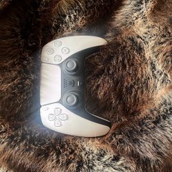 PS5 Controller
