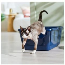 Frisco High Sided Cat Litter Box, Extra Large, Navy, 24-in
