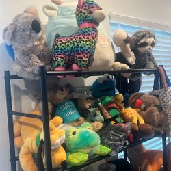 Stuffed Animals