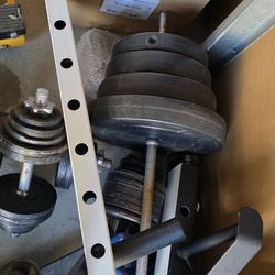 Free Weights Non Olympic 