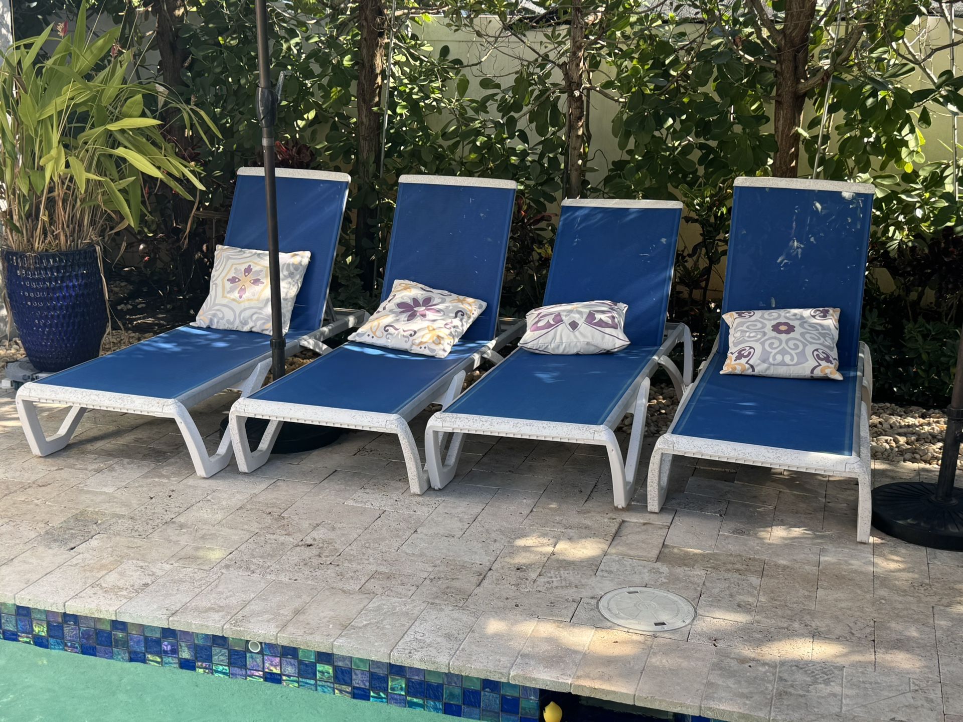 Pool Lounge Chairs (2)