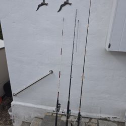 Surf Casting Rods