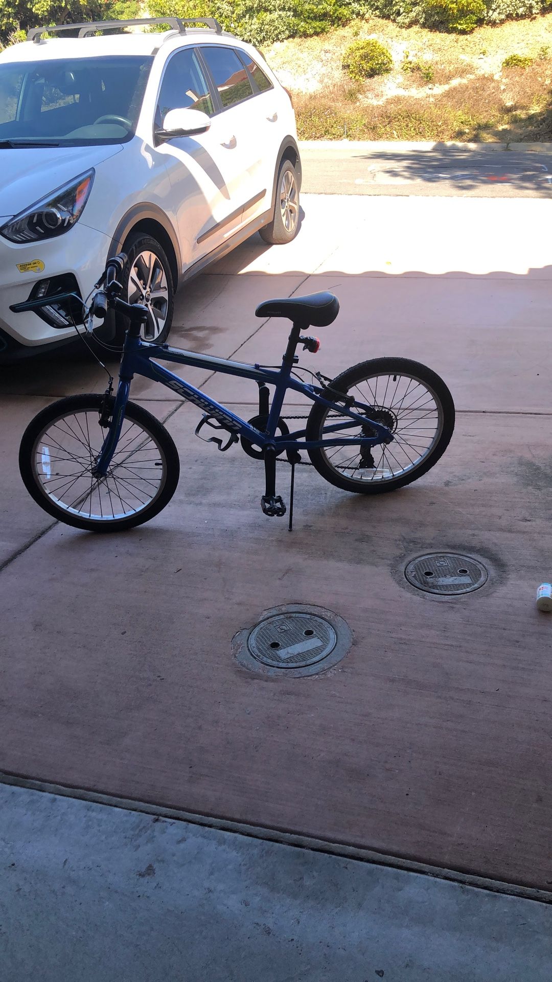 Schwinn Bike (20in Tires)