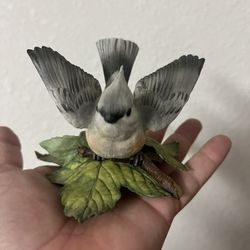 Lennox Tufted Titmouse