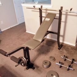 Exertec  Weight Bench and Weights 
