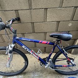 Adult Bike 