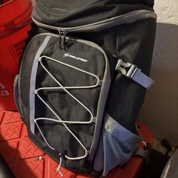 Cooler Backpack 