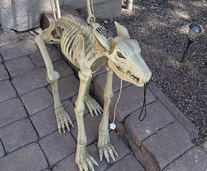 HALLOWEEN HOWLING SKELETON WOLF