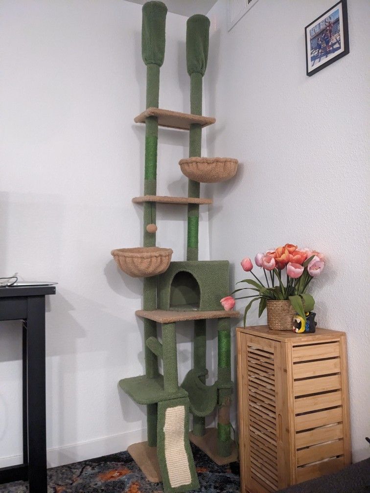 Cat Tree