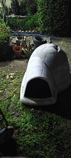 Medium sized dog house clean