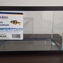 Glass Aquarium (Size 5 1/2)