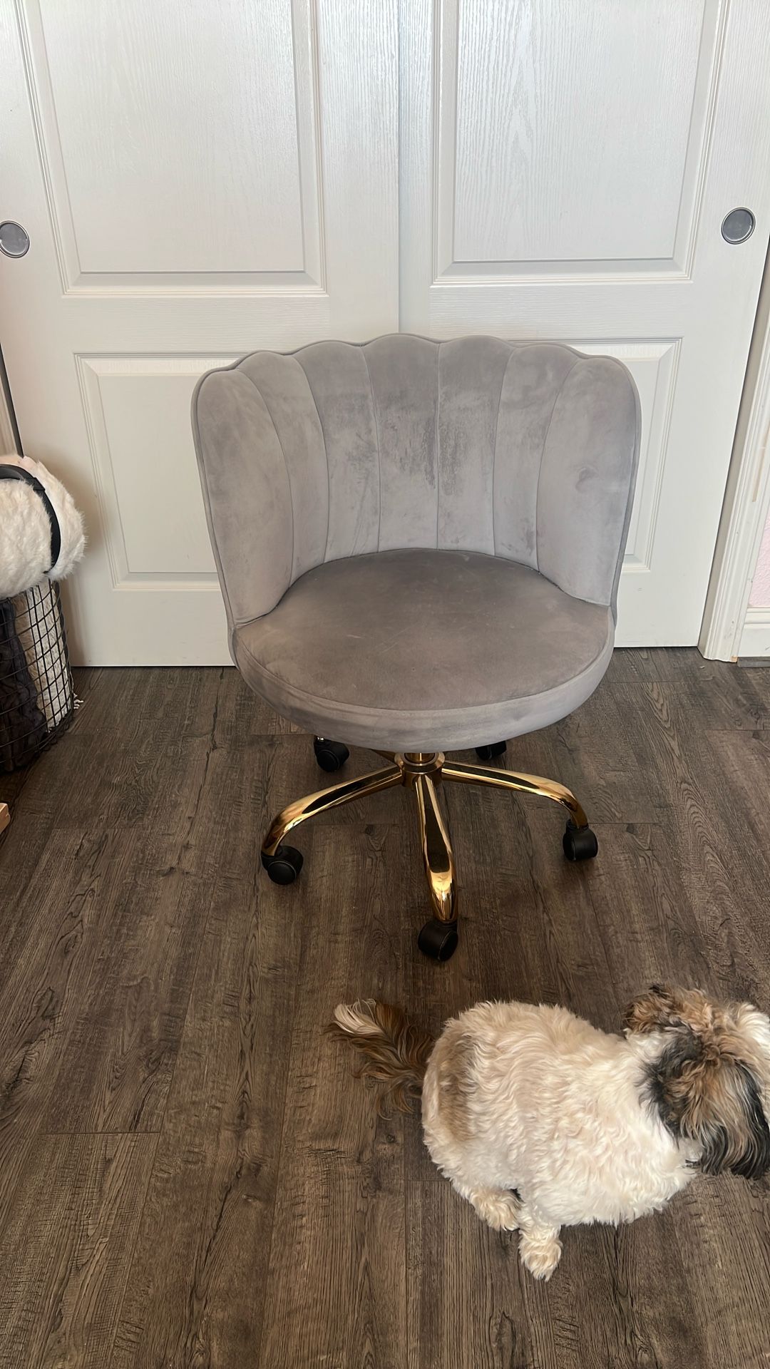 Velvet Office Chair with Gold Base – Swivel and Adjustable