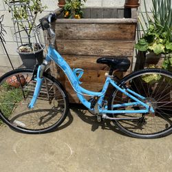 Trek Ladies Cruiser (35.5 Cm)