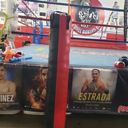 Kickboxing Punching Bag 