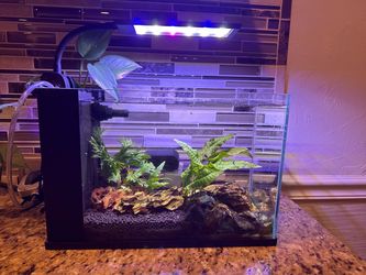 3.5 Gallon Nano Fish Tank