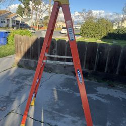Werner Ladder 6ft 