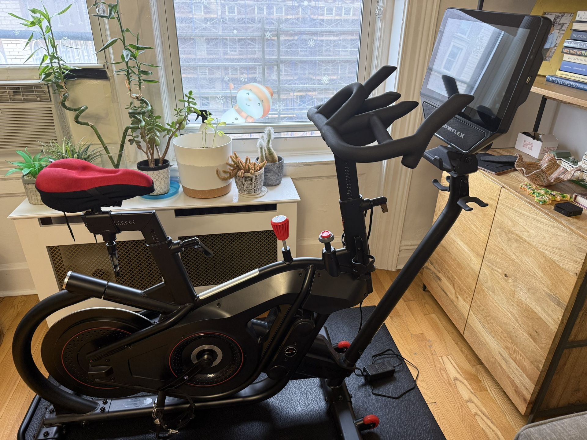 BowFlex VeloCore