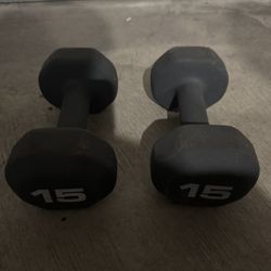 15 pound dumbbells 
