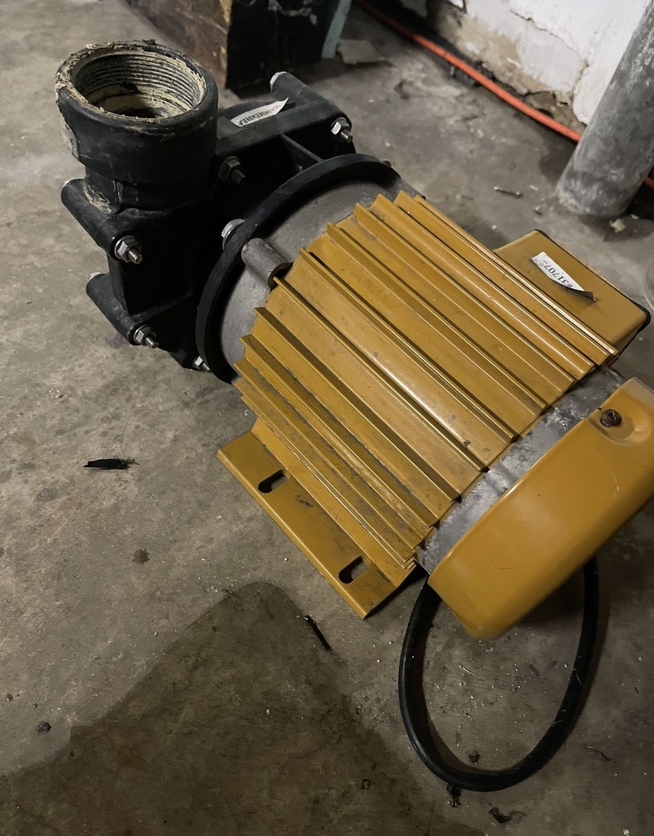 Reeflo hammerhead Pump 