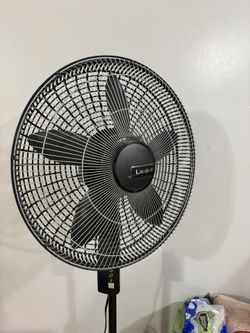Fan