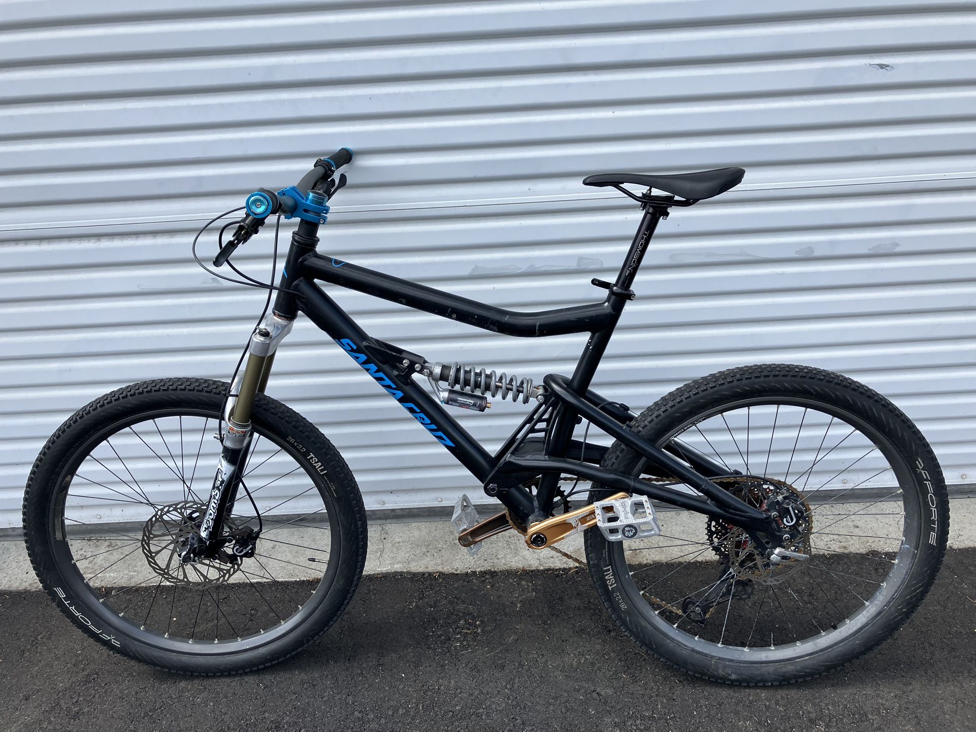 Vintage Santa Cruz Bullit