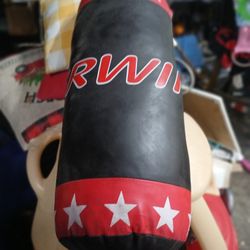 Kids Punching Bag 