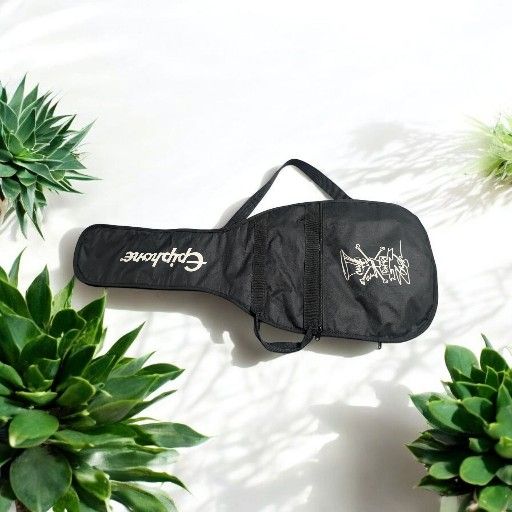 Epiphone Slash Signature guitar case
