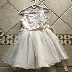 Blush Dress Size 16
