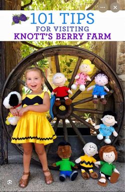 KNOTTS BERRY FARM TICKETS $50 EACH 🎫🎟️🎫🎟️🎫🎟️🎫🎟️🎫🎟️🎫🎟️