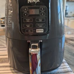 Clean Ninja 4-qt Air Fryer (ModelAF101)
