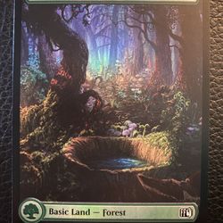 Forest 2025 Magic The Gathering #306 Foil Final Fantasy! 