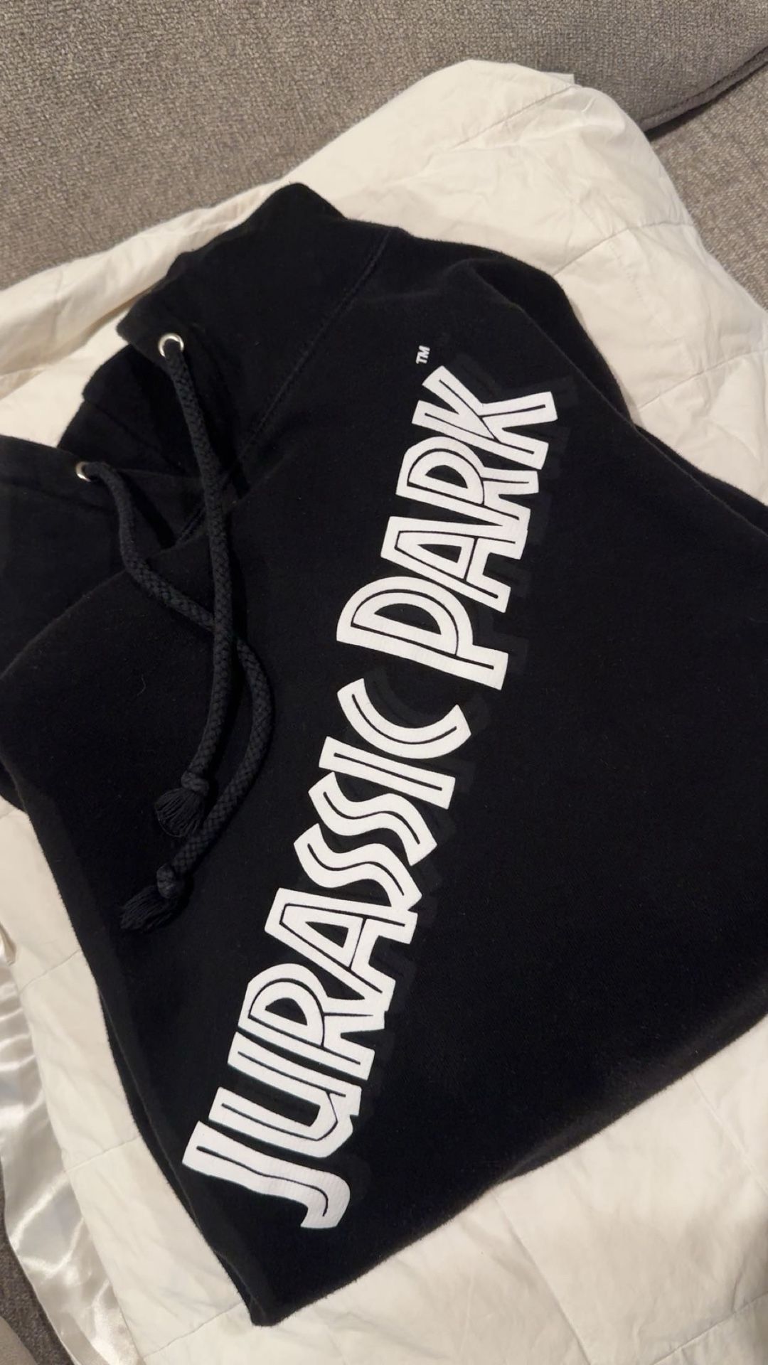 Jurassic Park Hoodie