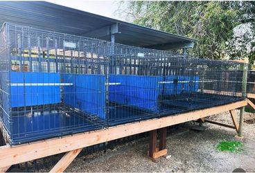 Cages