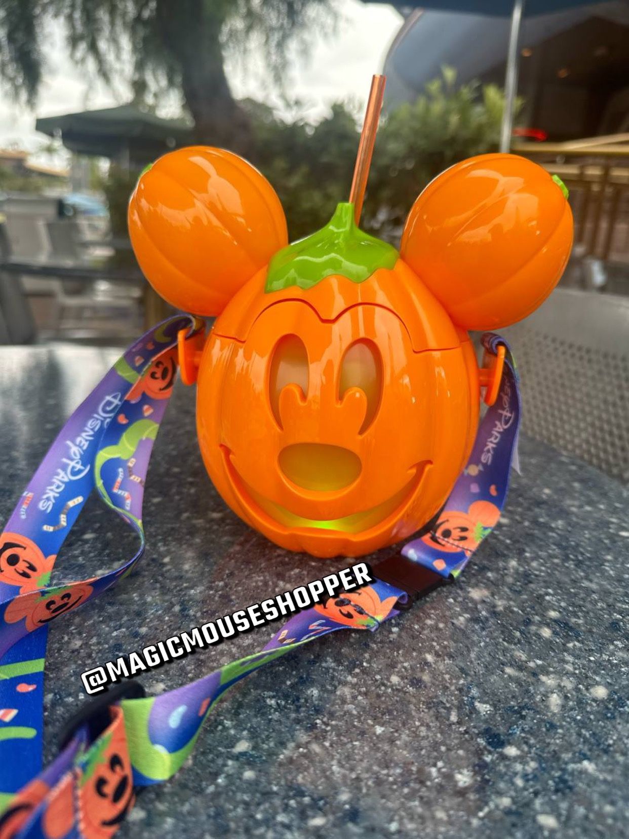 Disneyland 2024 Mickey's Halloween Light Up Pumpkin Sipper NWT