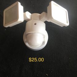 LED Security light