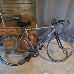 Raleigh back alley single speed road commuter bike md/LG 57cm