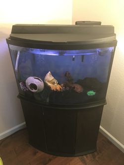 Aqueon 36 top gallon bow front
