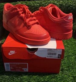Nike dunks NEW size 6y with box