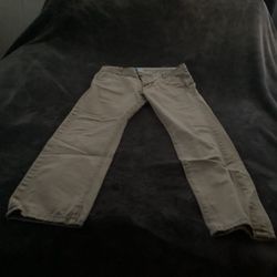 Levi Mens Cargo Pants Size 29/30