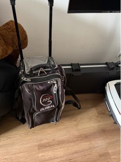Bowling ball and bag