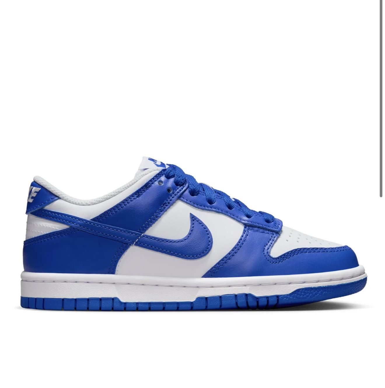 Dunk Lows (White/Dark Blue)