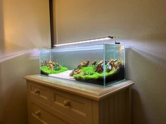 Aquascaped 20 gal Tank