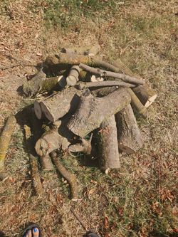 Free fire wood