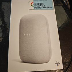 Google Nest Audio Assistant 