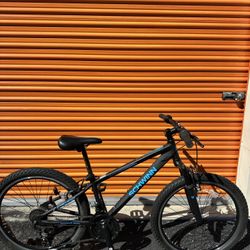 2025 Schwinn Thrasher 24in