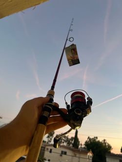 Fishing rods