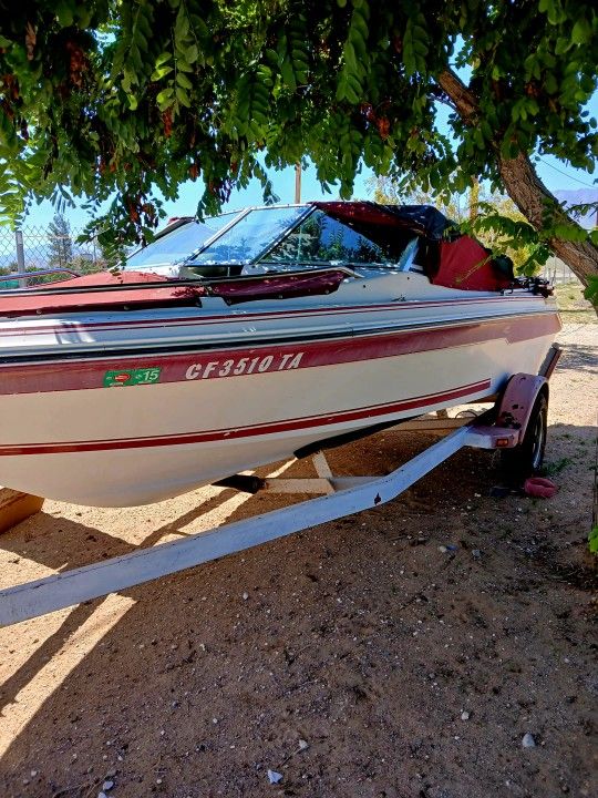 10 Passenger Motorboat