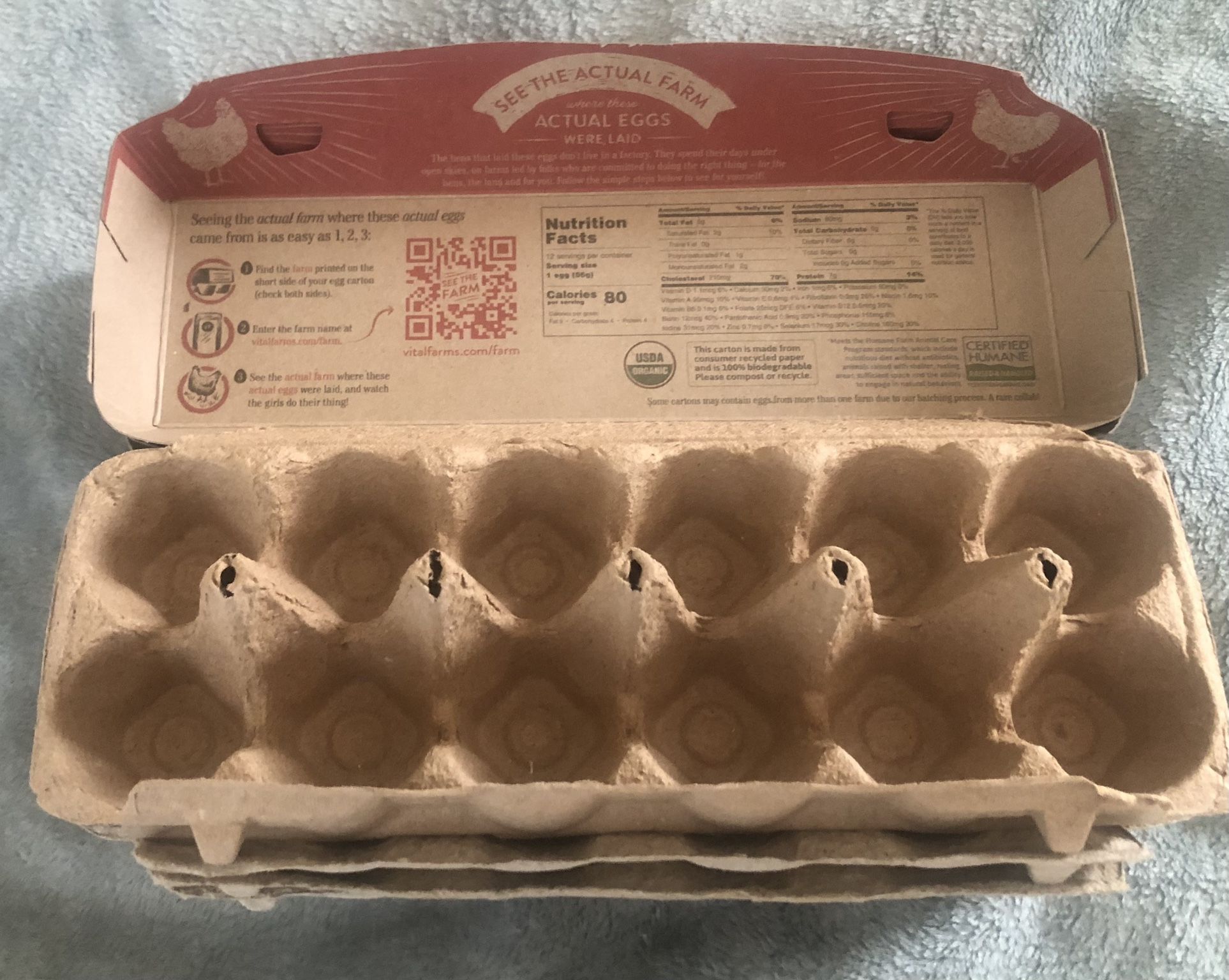 Lot of 50 cardboard dozen large egg containers for compost, seed harvesting, crafts. Lid attached.