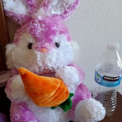 Stuffed Animals